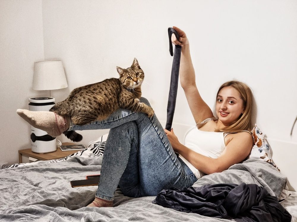 Семейство кошачих