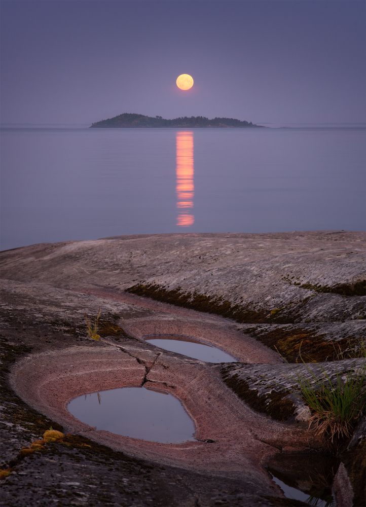 Photograph by Дмитрий Воронцов
