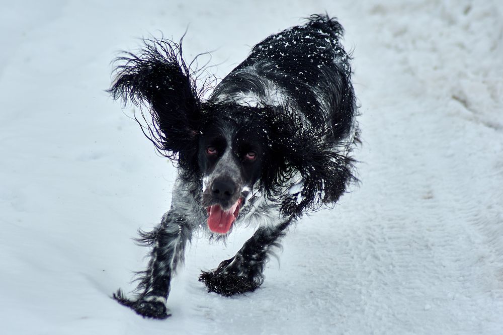 Photograph by Андрей Мольков