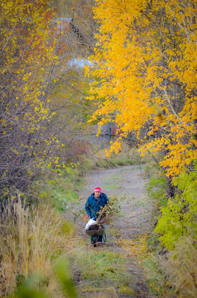 Photograph by Глухарев Сергей