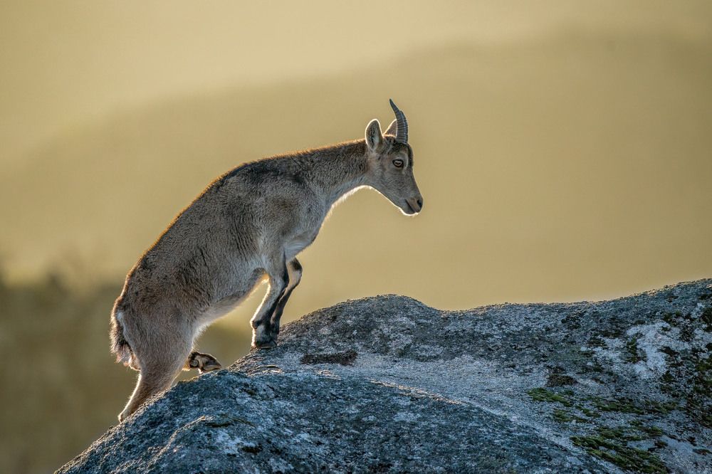 Photograph by Norberto Esteves