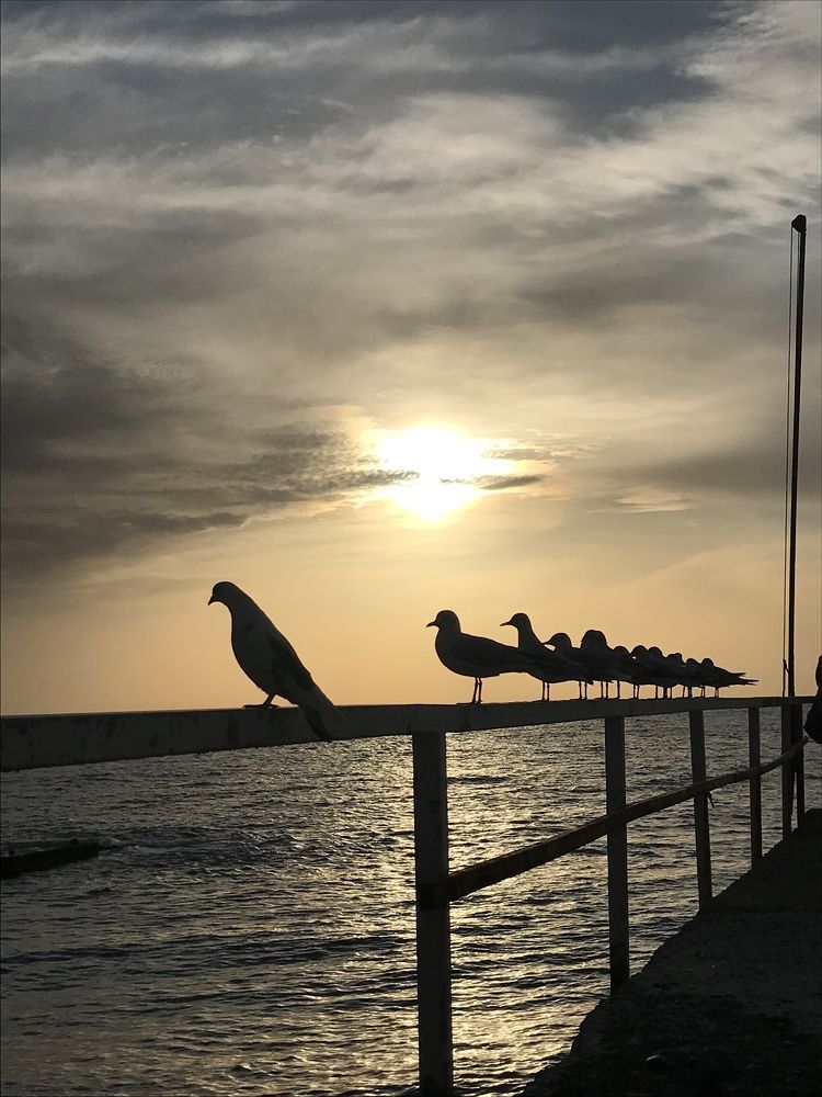 Photograph by Ксения Супрун