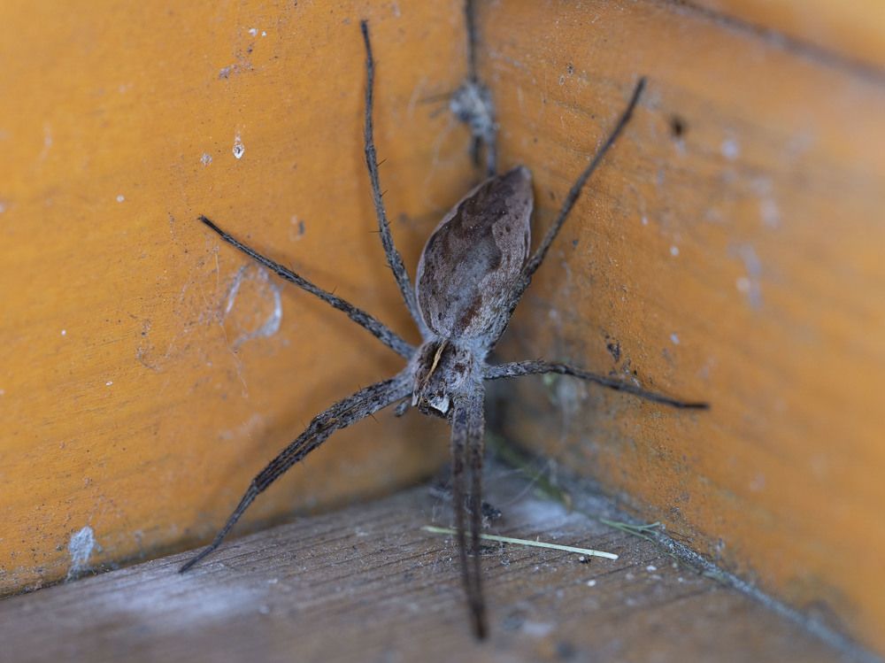 Photograph by Susanna Kari