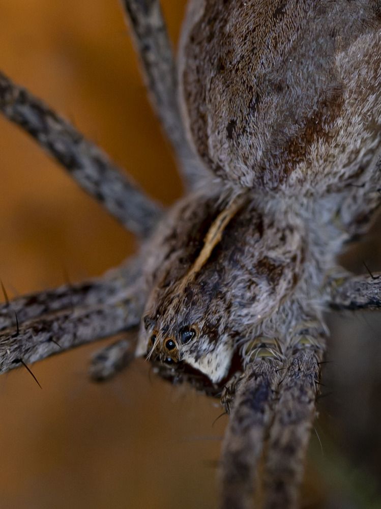 Photograph by Susanna Kari