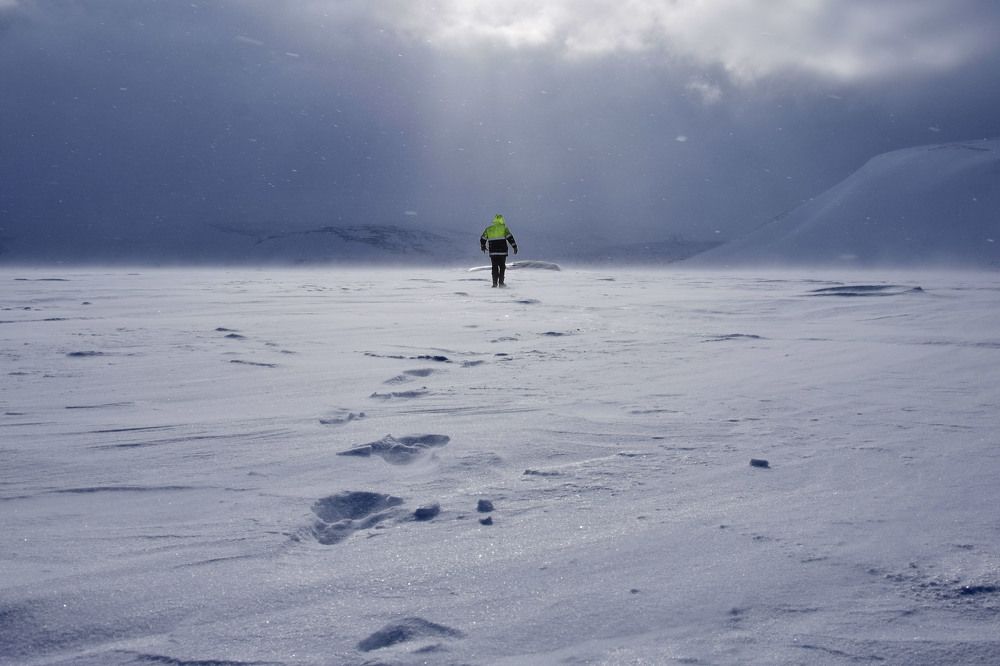 Photograph by Алексей Логинов