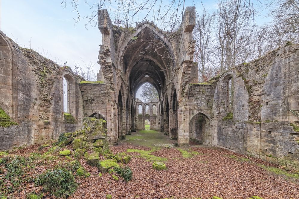 Photograph by FRANCIS MESLET