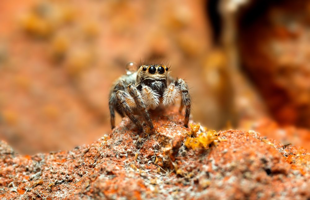 Photograph by Александр Плисик