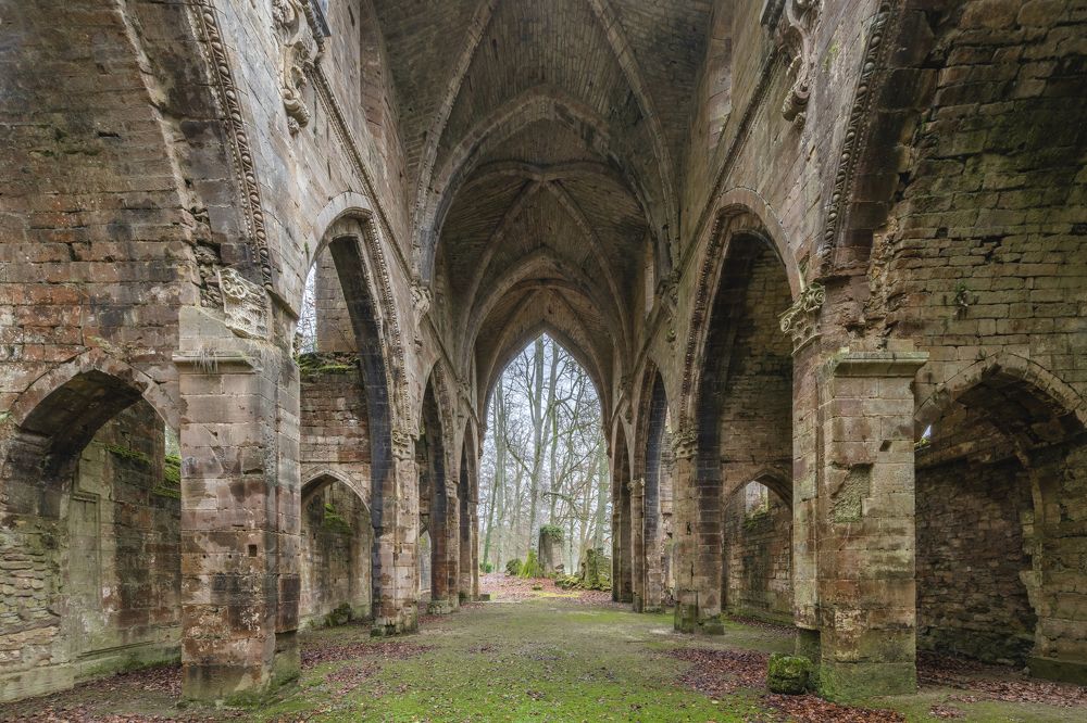 Photograph by FRANCIS MESLET