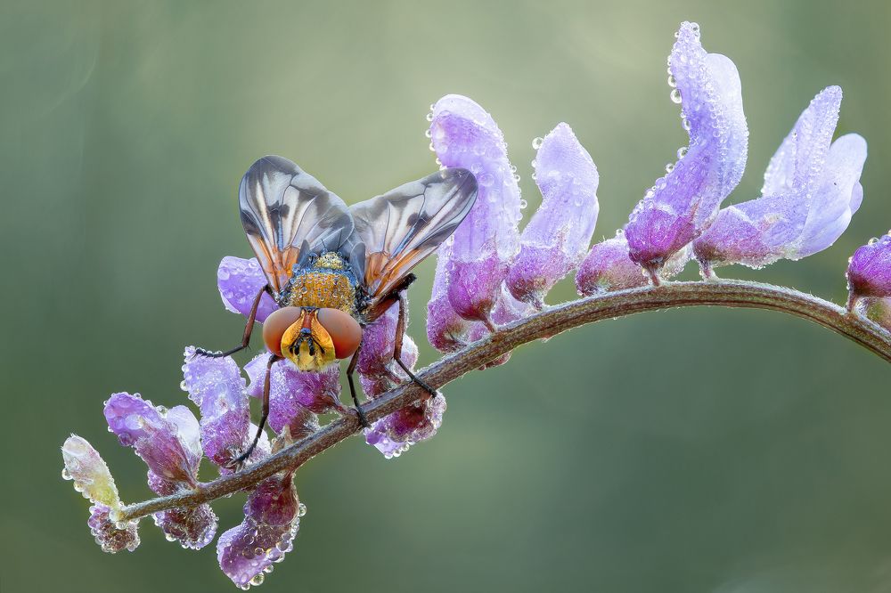 Photograph by Кузнецов Дмитрий