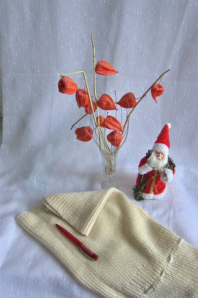 Фотография автора Клавдия Васильева