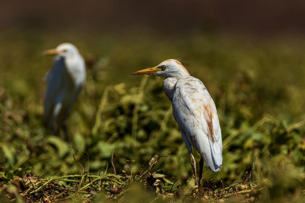 Photograph by KFIR HANUNOV
