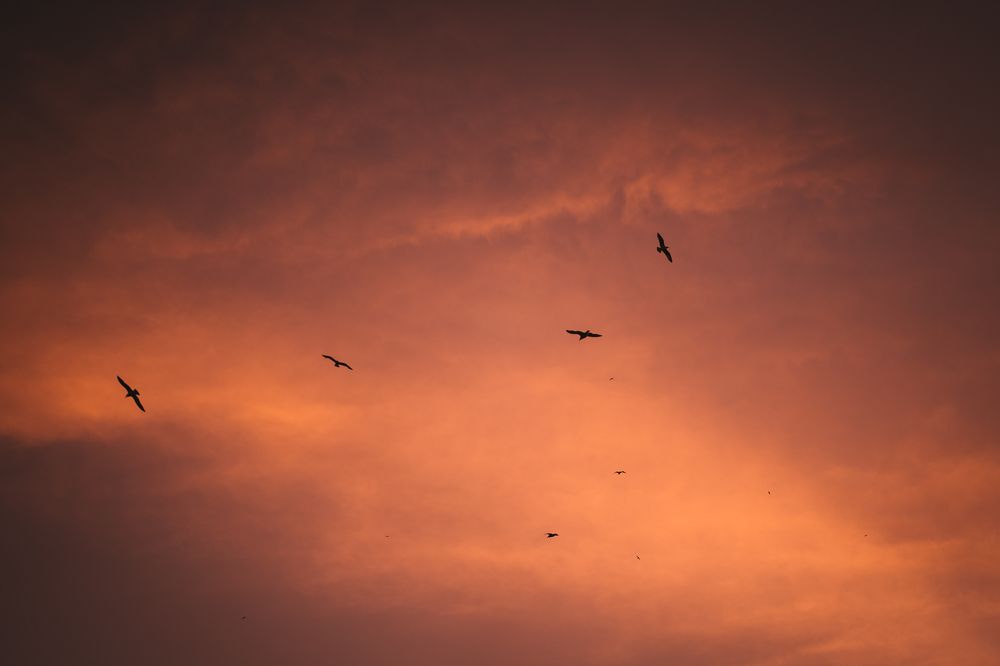 Photograph by Alexander Stoyanov