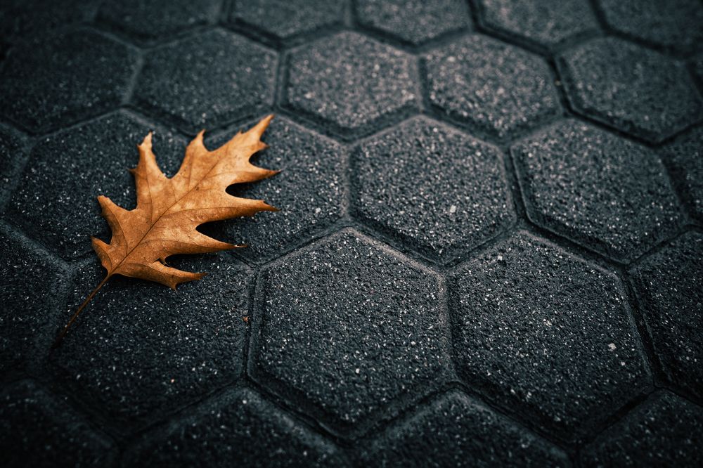 Photograph by Alexander Stoyanov