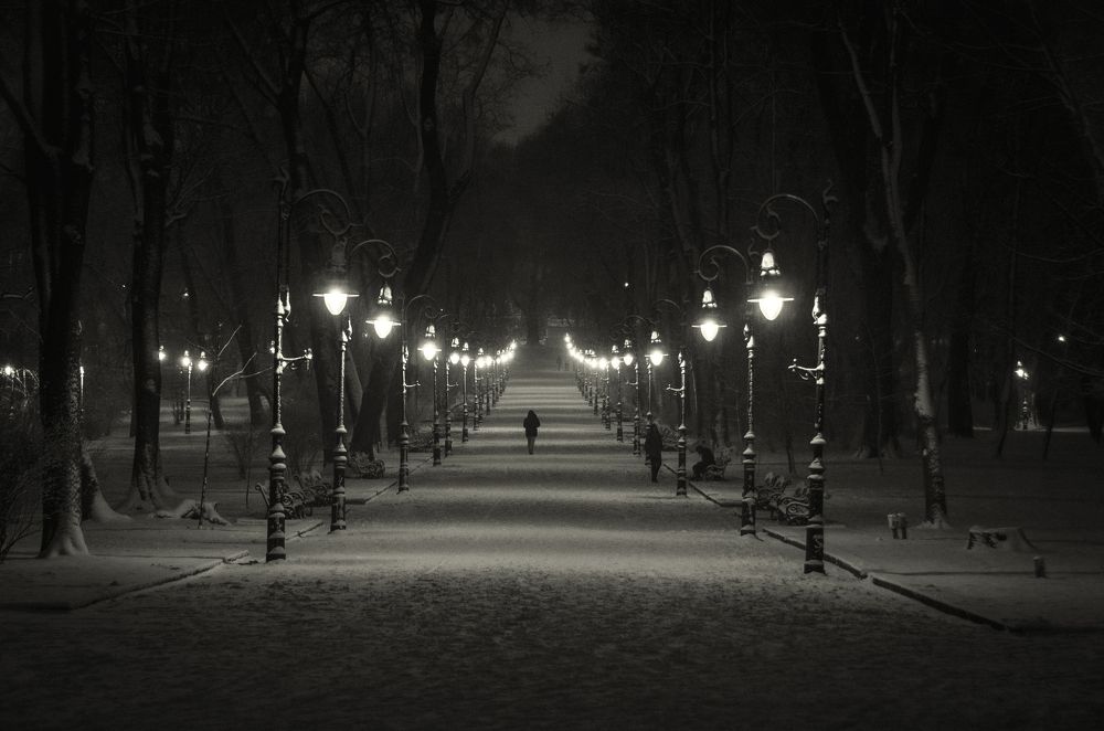 Photograph by Alexander Zvir