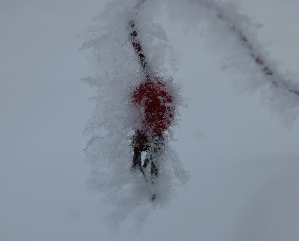 Photograph by Ираида Стародубцева