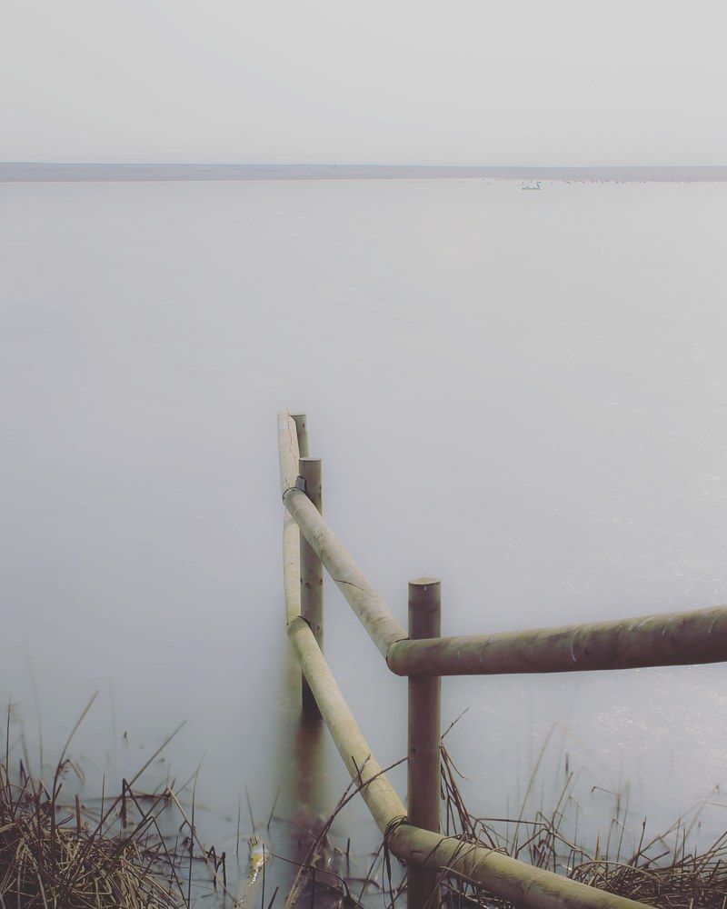 Photograph by Geraldine Michell