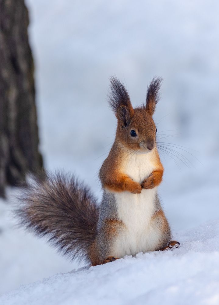 Photograph by Chic.chiquitita