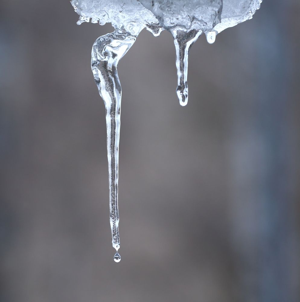 Photograph by Станислав Вершинин