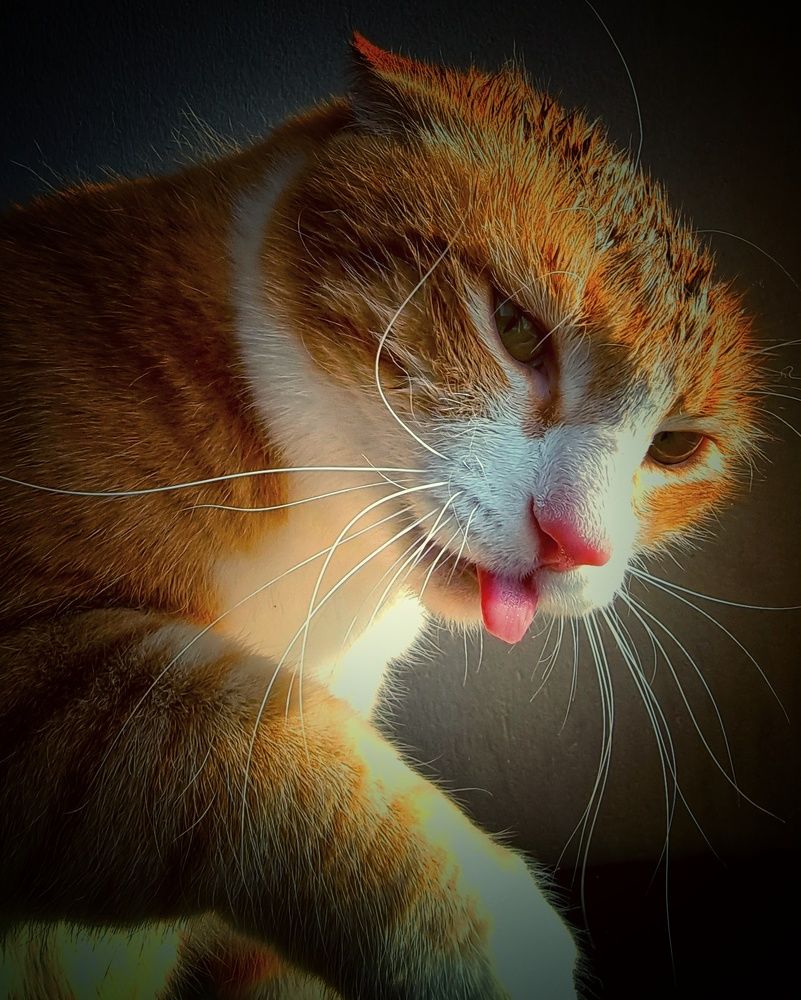 Photograph by Василий Садовский