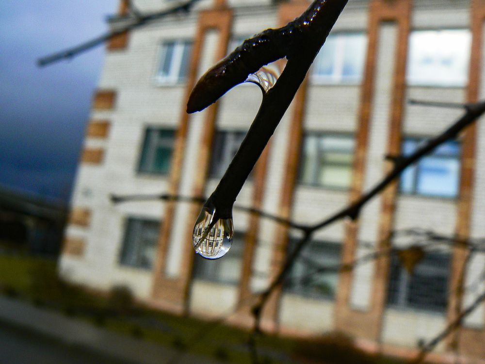 Photograph by Алексей Борисов