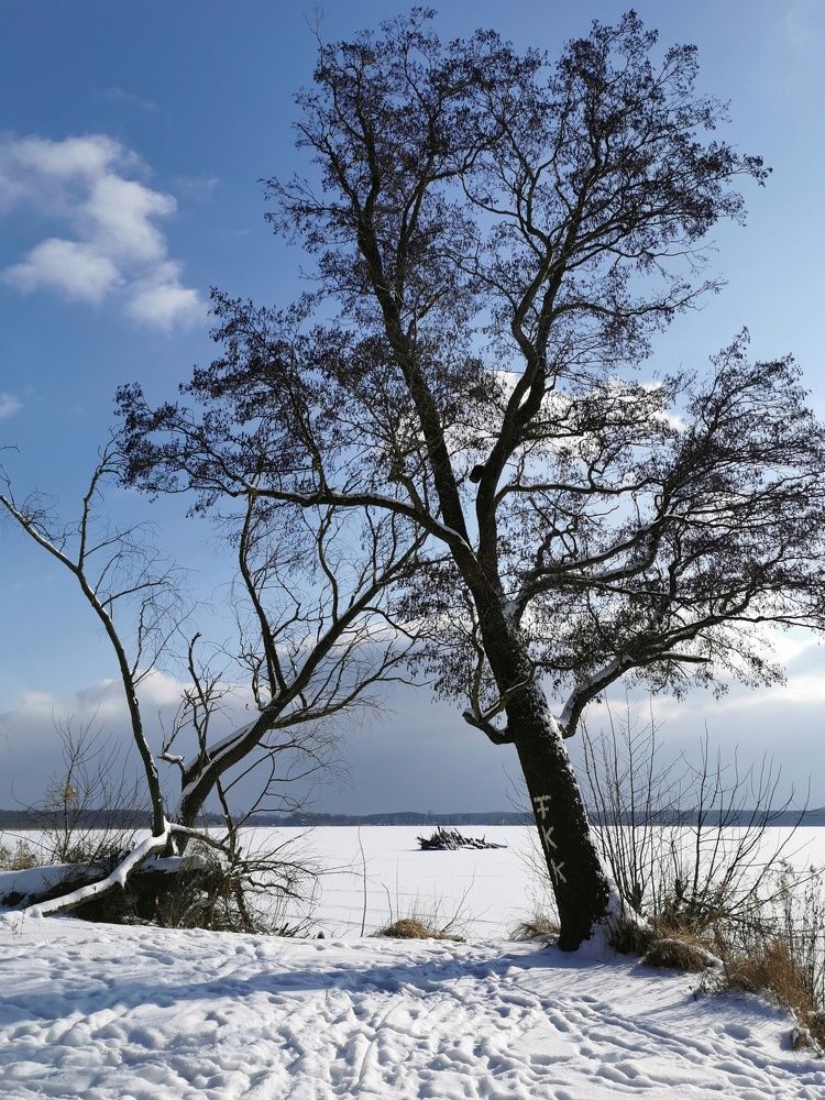 Photograph by Olga Weinberger