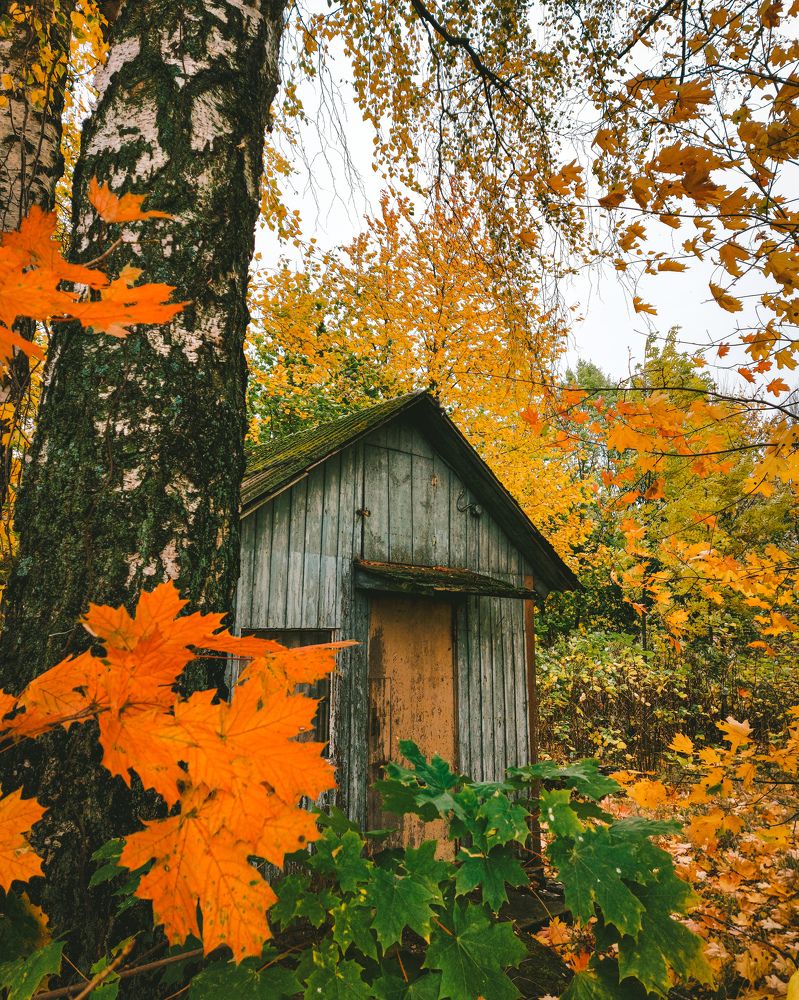 Пёстрое время года.