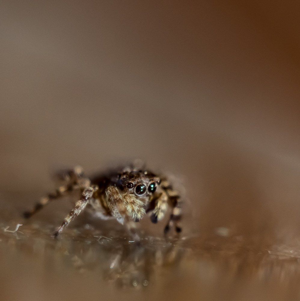 Photograph by Юлия Чванова