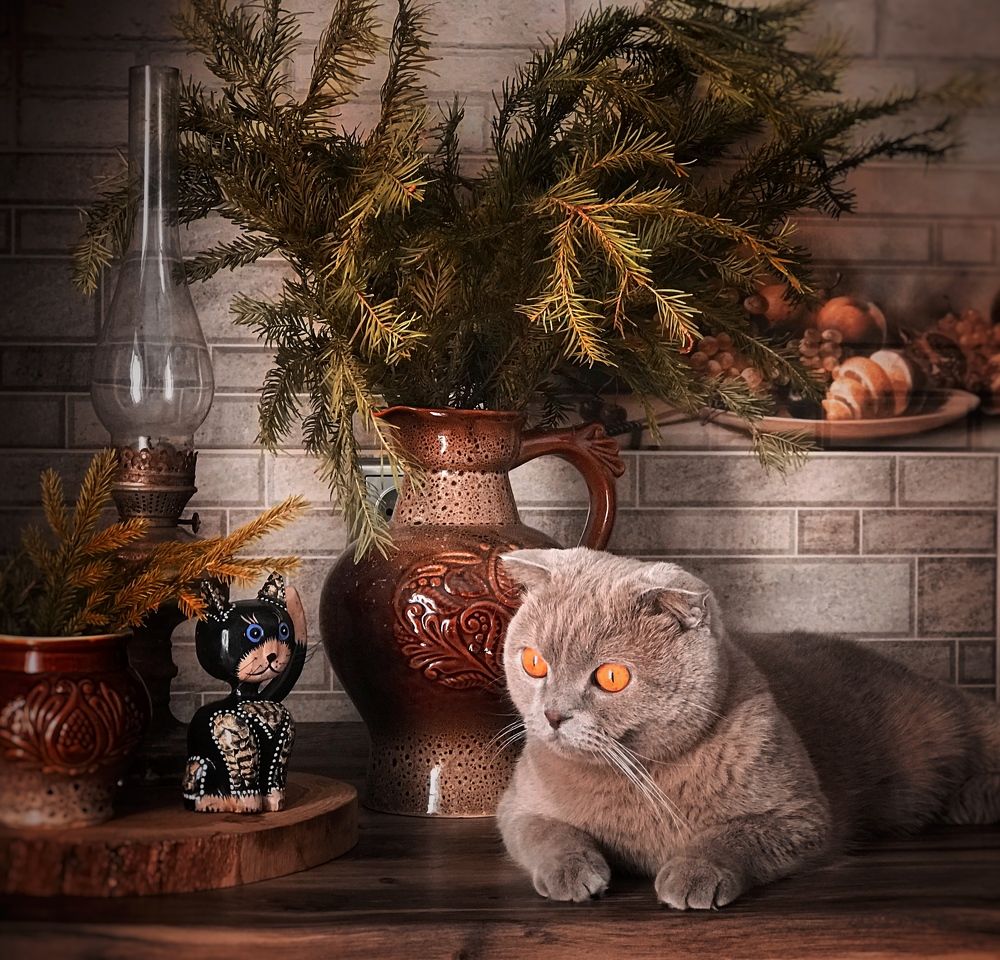 Photograph by Наталья Перерва