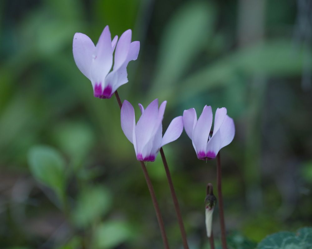 Photograph by Борис Ганцелевич