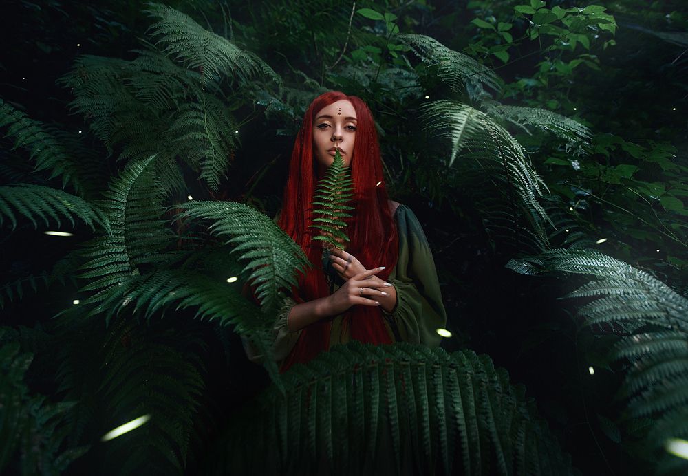 Папоротник