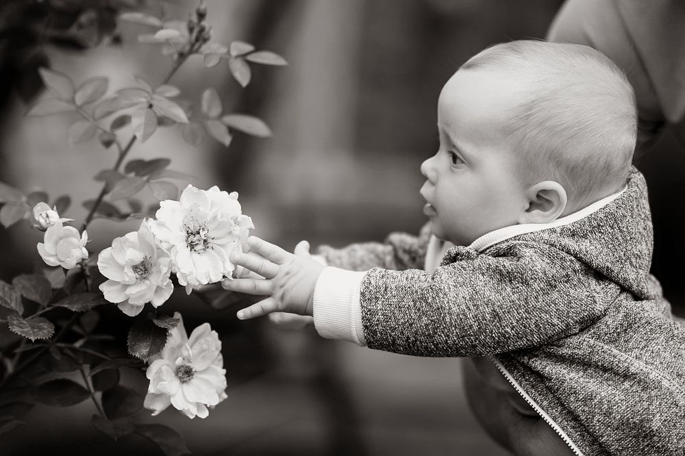 Познание мира