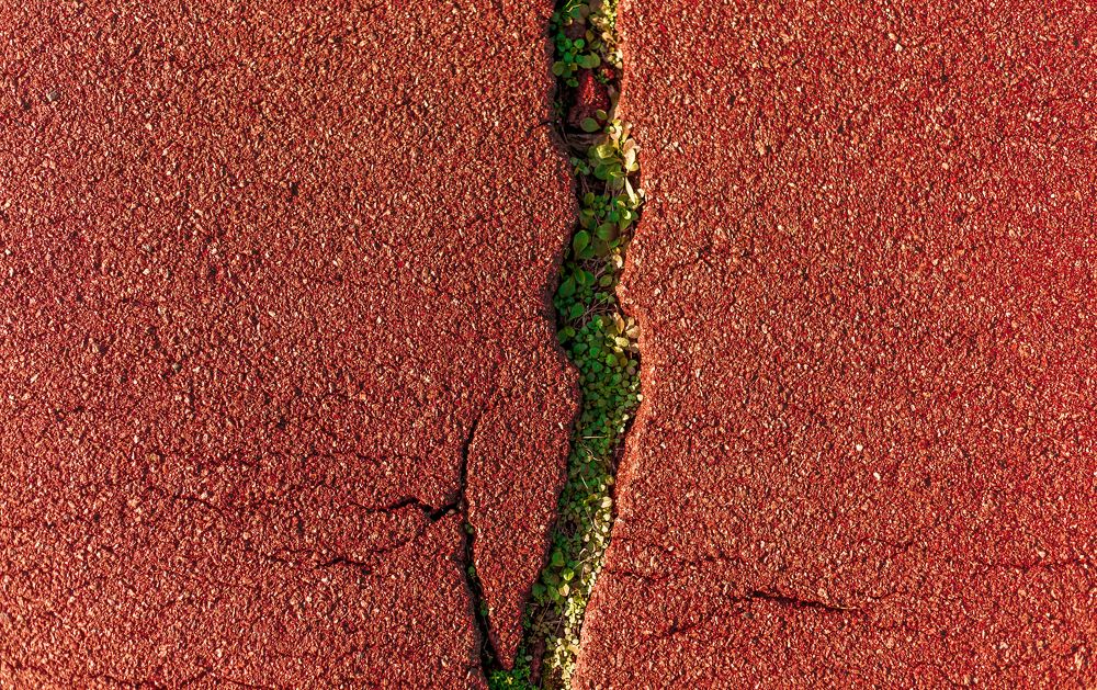 Photograph by Александр Плисик