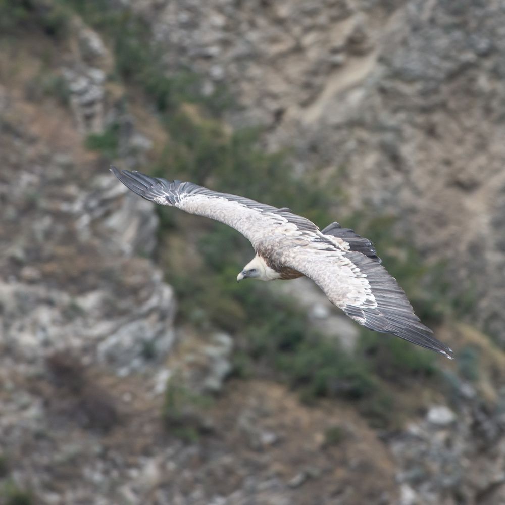 Photograph by Felix Sorokin