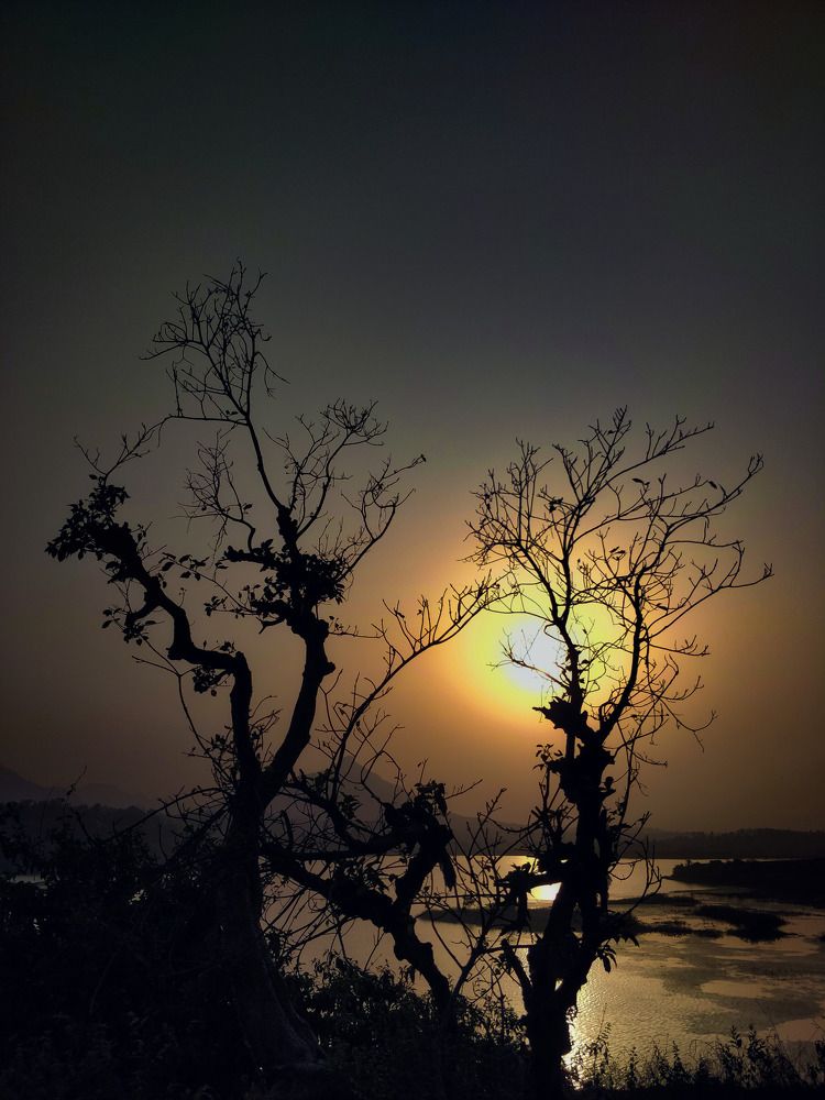 Photograph by Anupam More