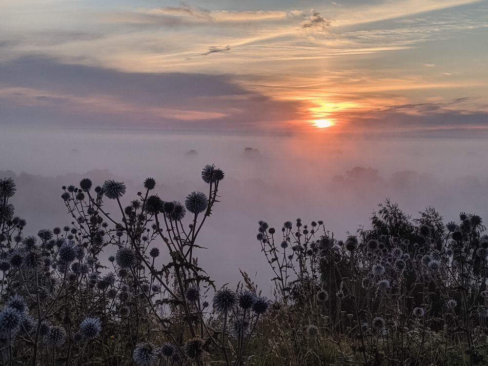 Восход солнца в тумане за рекой.