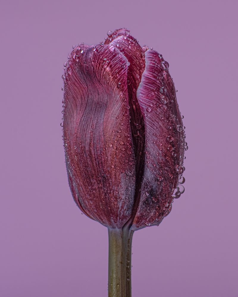 Photograph by Вадим К