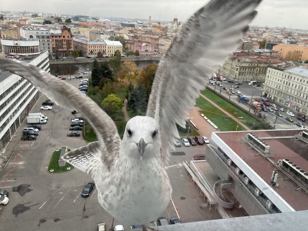 Фотография автора Анна Могилева