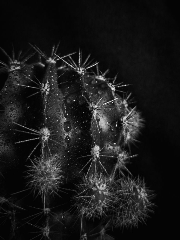 Photograph by Алексей Крукович