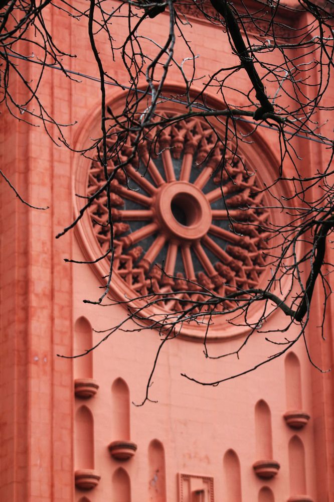 Photograph by Диана Ульянцева