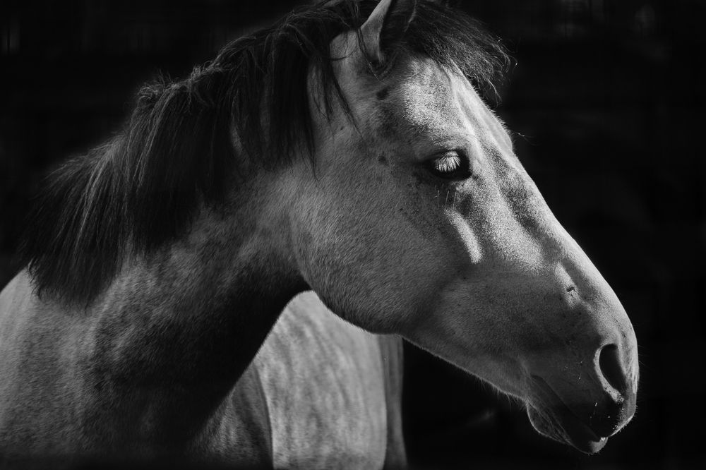 Photograph by Бугакова Ольга