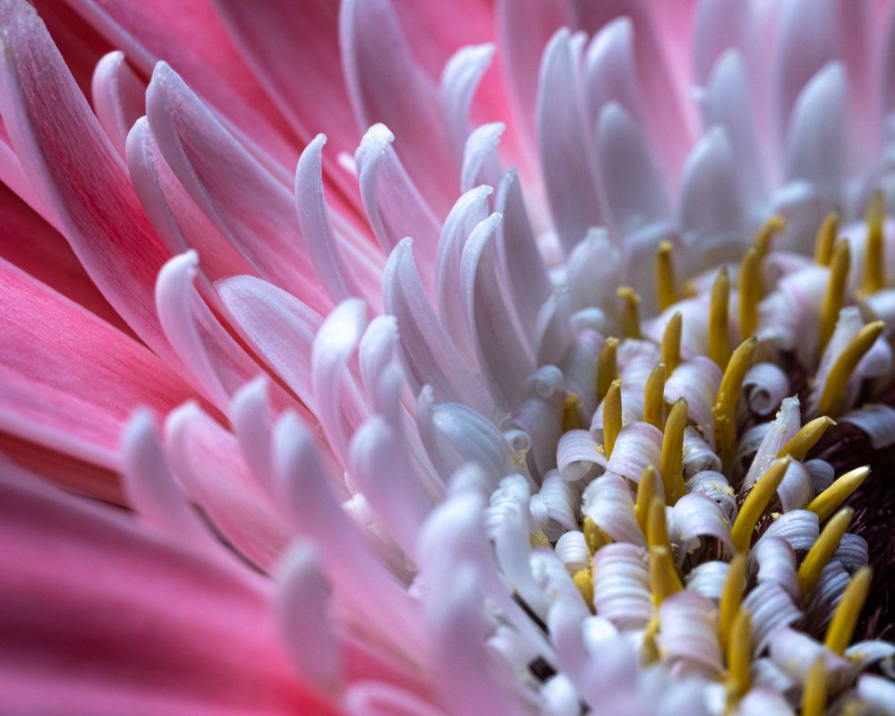 Photograph by Вадим К