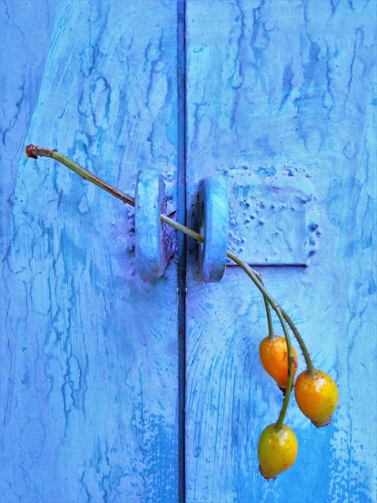 Изящный замок / Elegant Lock