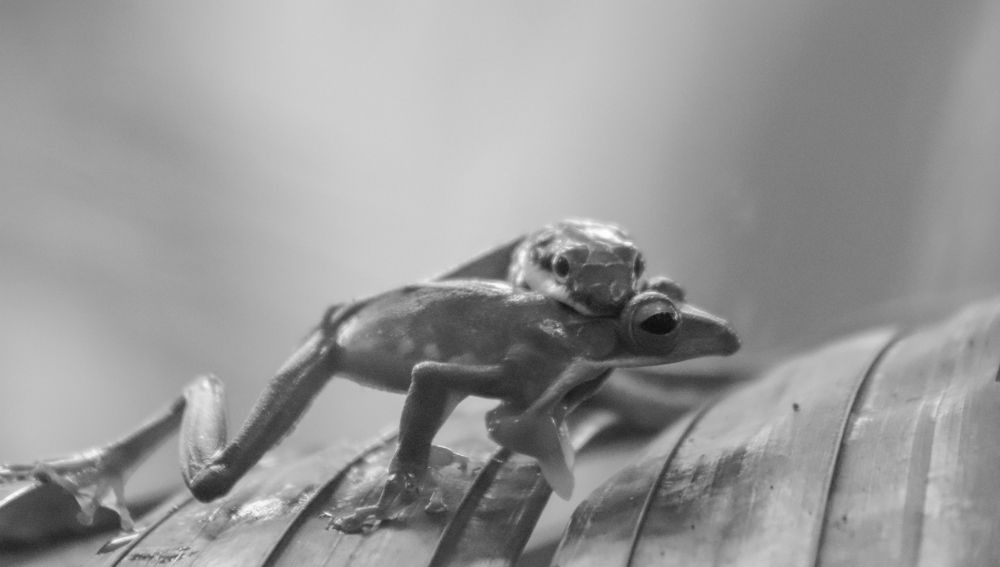 Seconds before death