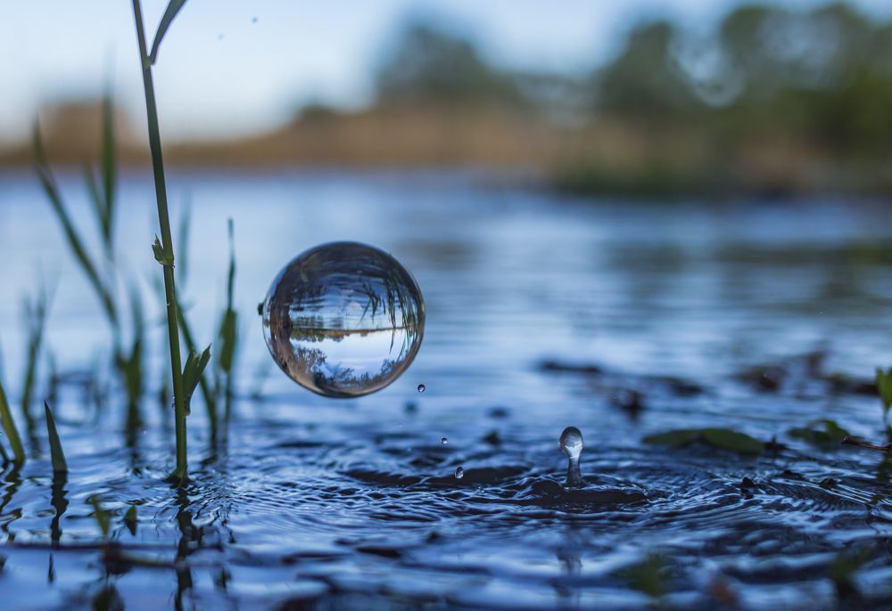 Photograph by Дмитрий Власов