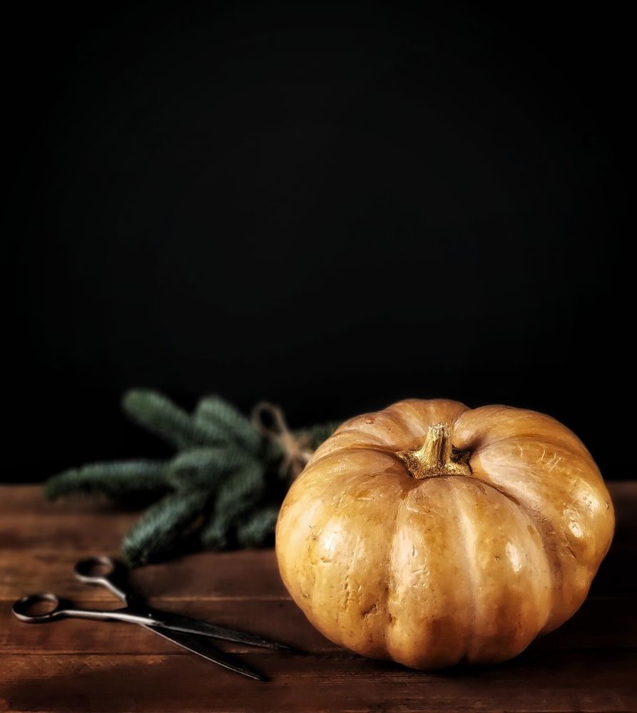 Фотография автора Ольга Игуменова