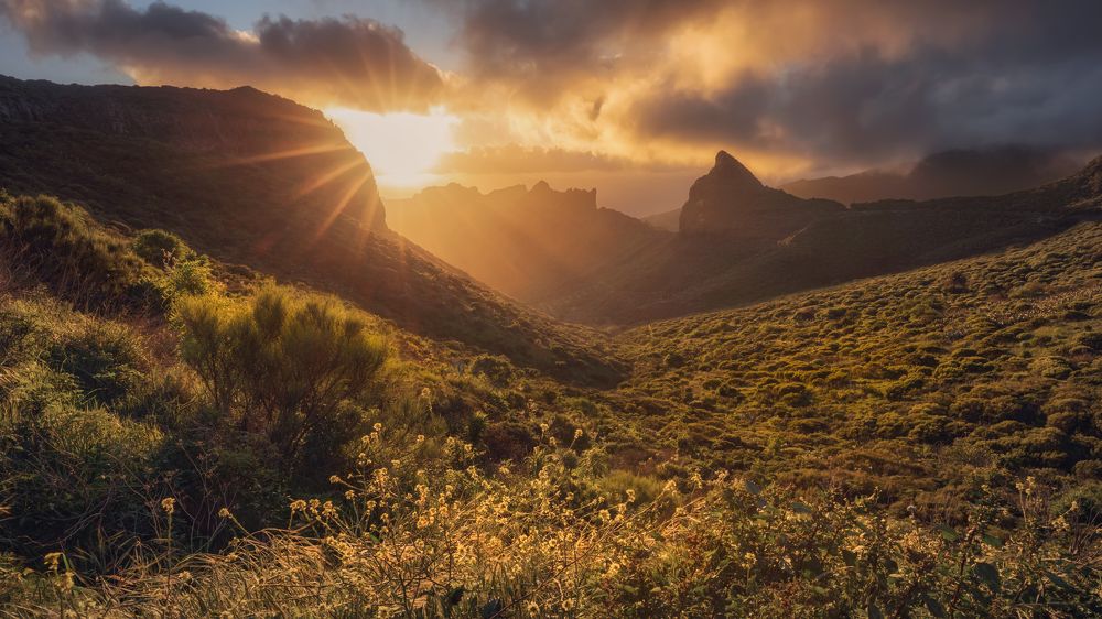 Photograph by Iris Lara