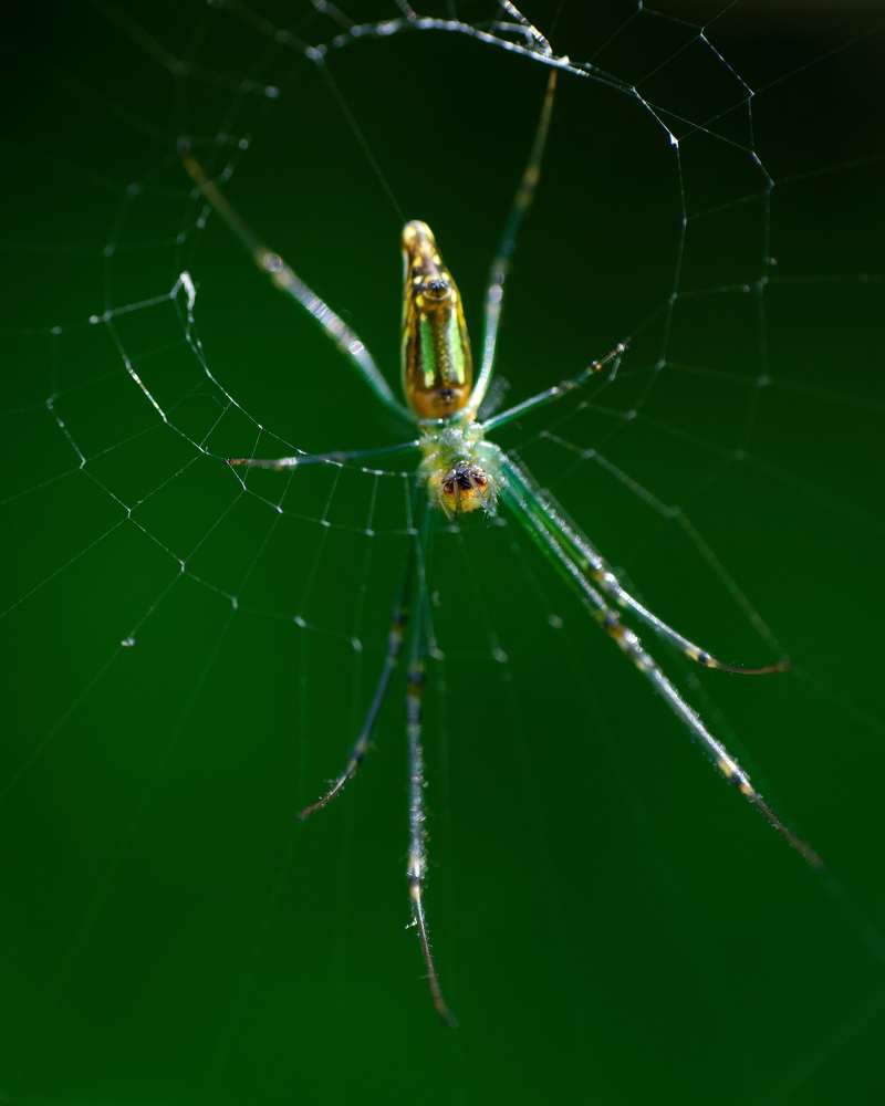 Photograph by PRABANJAN KARUPPUSAMY