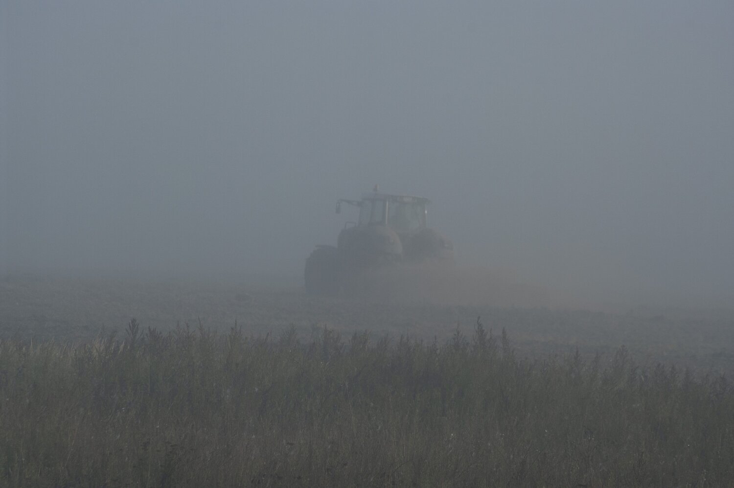 Photo #7217296