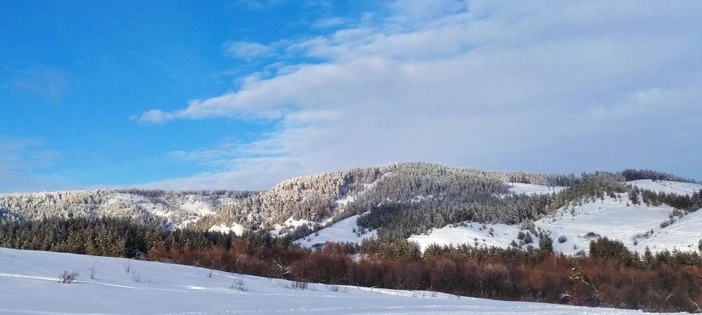 Photograph by Виталий Асташов