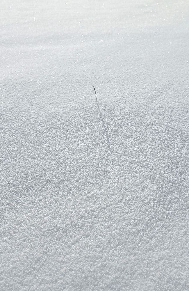 Photograph by Женя Евсеева